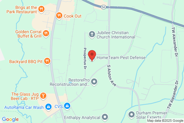 HomeTeam Pest Defense