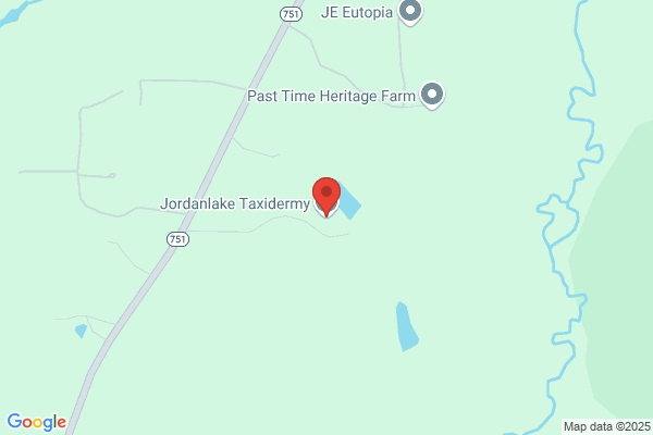 Jordan Lake Taxidermy