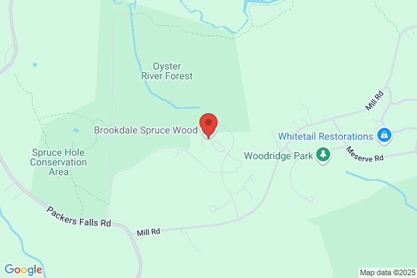 Brookdale Spruce Wood
