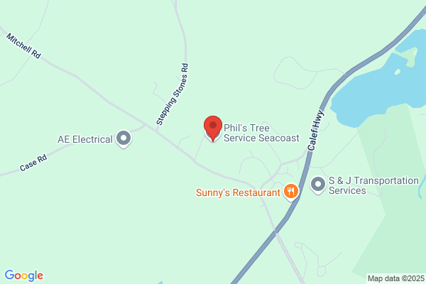 Phil's Tree Service Seacoast