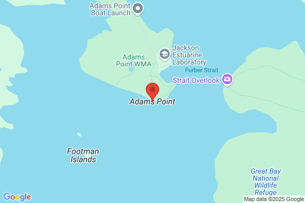 Adams Point Contracting Inc