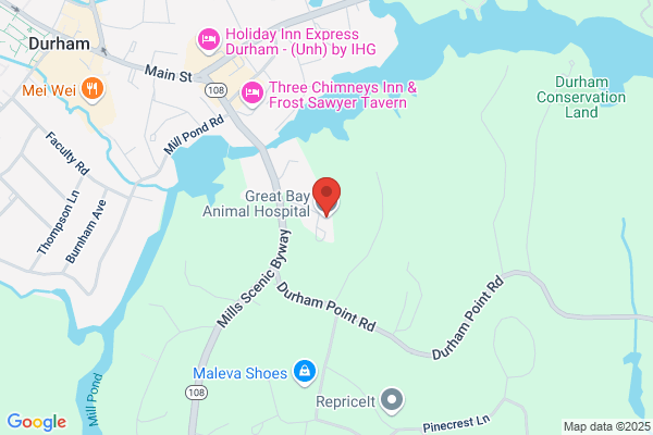 Great Bay Animal Hospital
