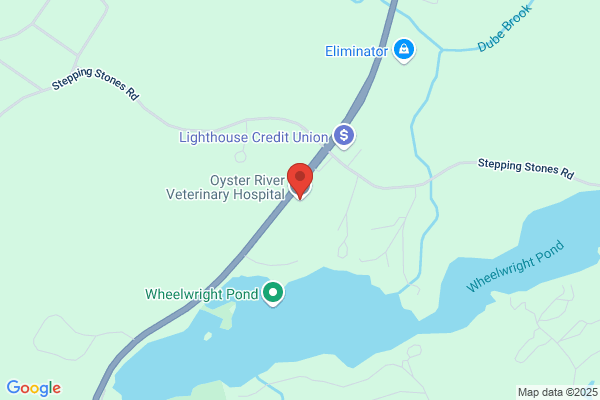 Oyster River Veterinary Hospital