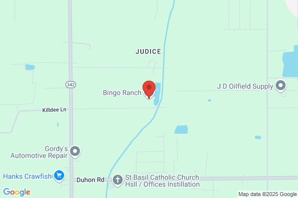 Bingo Ranch the
