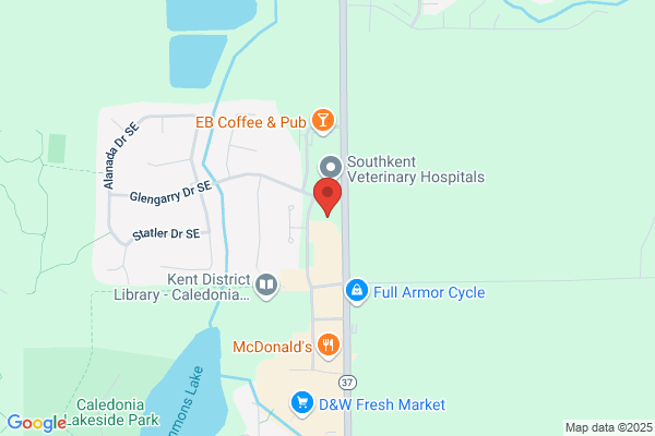 Caledonia Dental Group