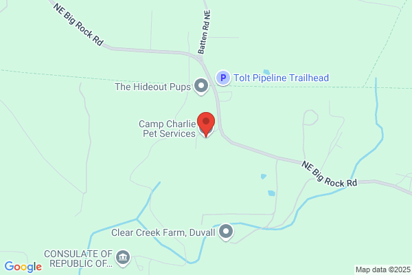 Camp Charlie Pet Services