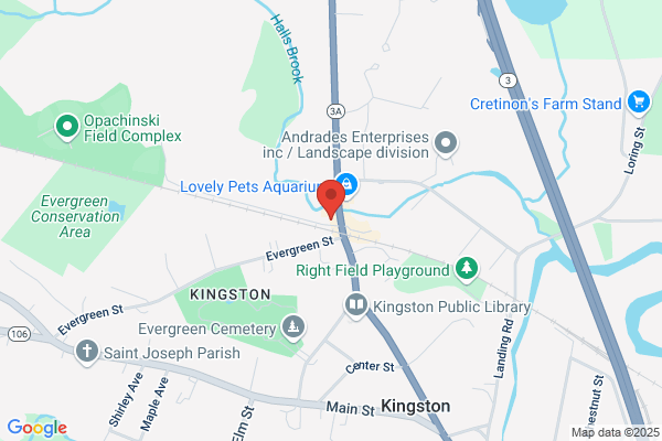 Kingston Liquors Inc