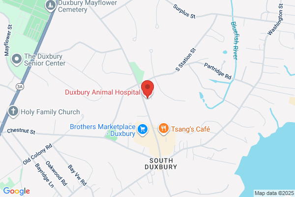 Duxbury Animal Hospital