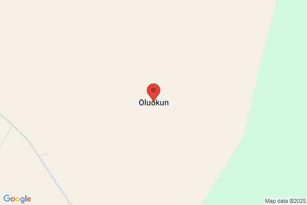 ADE OLUOKUN