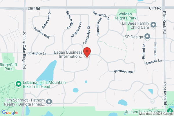 Eagan Business Information Technology Services