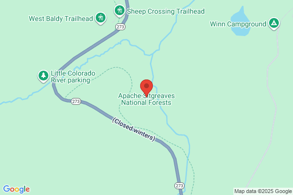 Apache Sitgreaves National Forest