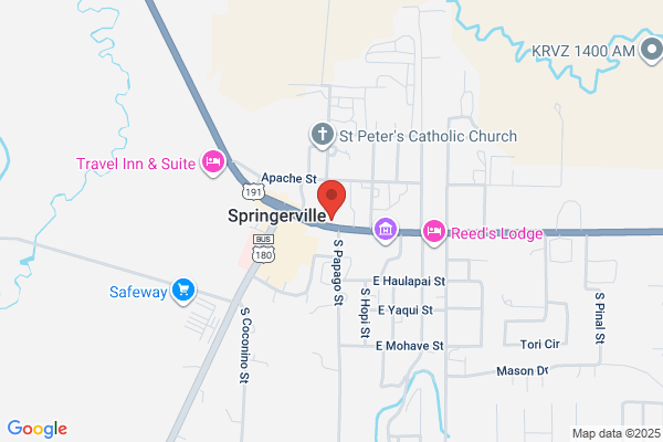 Carquest Auto Parts - CARQUEST of Springerville