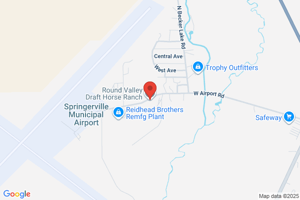 Rv Draft Horse Ranch Incorporated