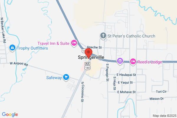Springerville Flower Shop