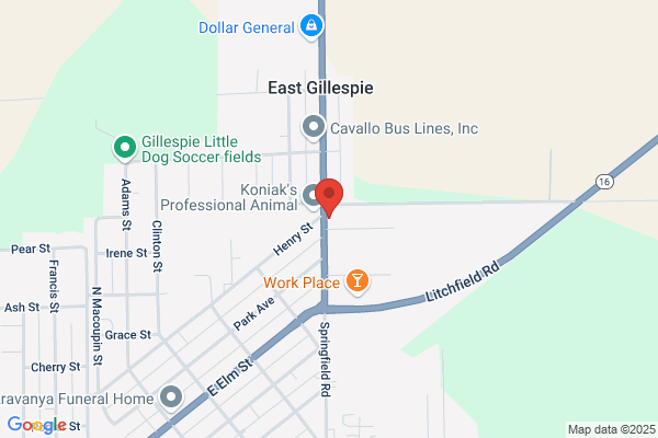 Village of East Gillespie