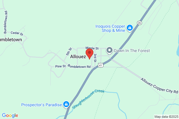 Allouez Automotive Inc