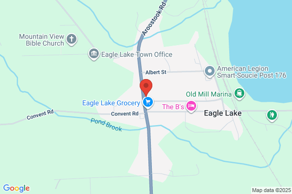 Bald Eagle Inc