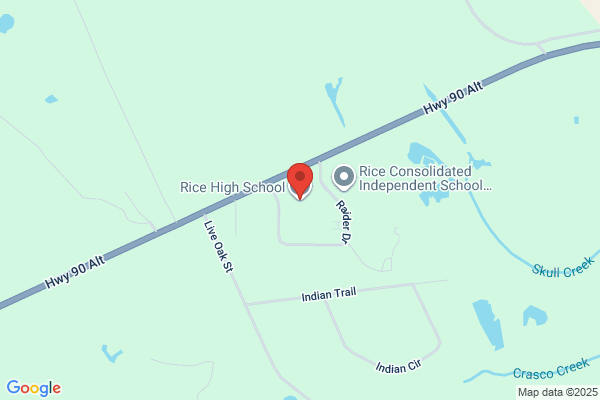 Rice Consolidated Independent, Rice High School