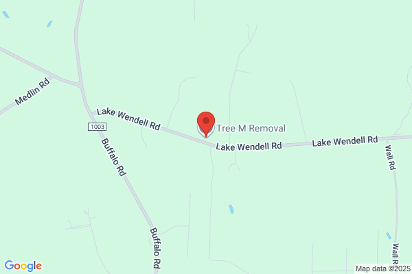 Tree M Removal LLC