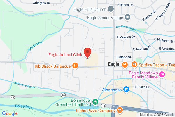 Eagle Animal Clinic