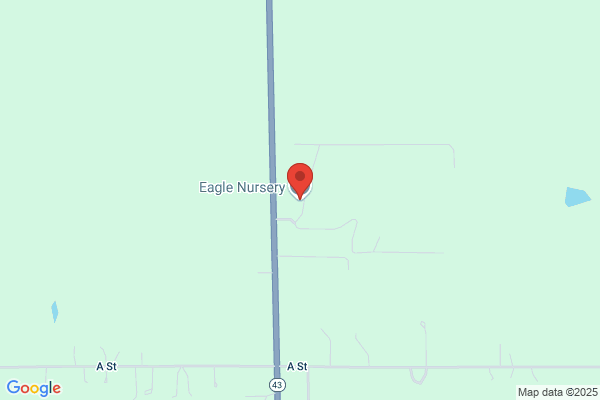 Eagle Nursery Llc