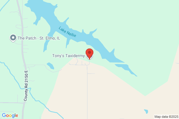Tony & Leslie's Taxidermy