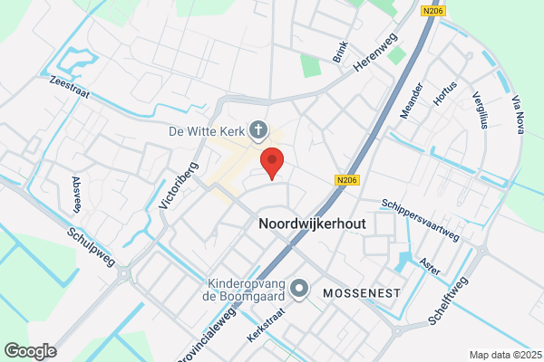 Dutch Electric Corporation