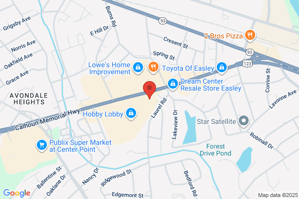 Advance Auto Parts