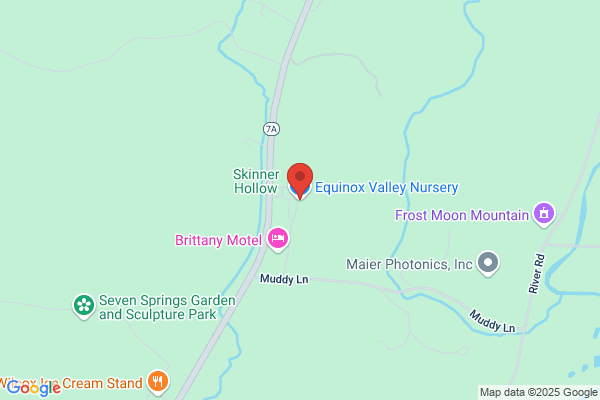 Equinox Valley Real Estate