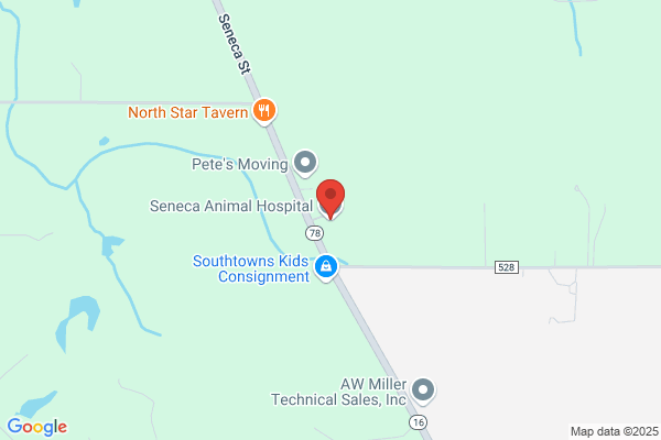 Beyer George J DVM