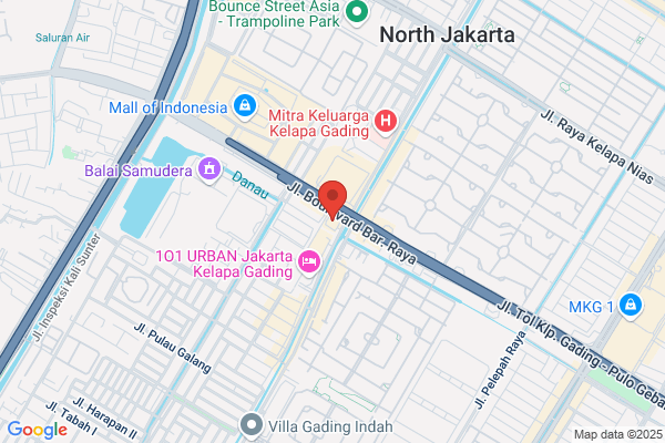 Aurora Consulting Group