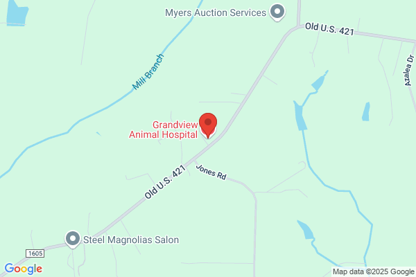 Grandview Animal Hospital