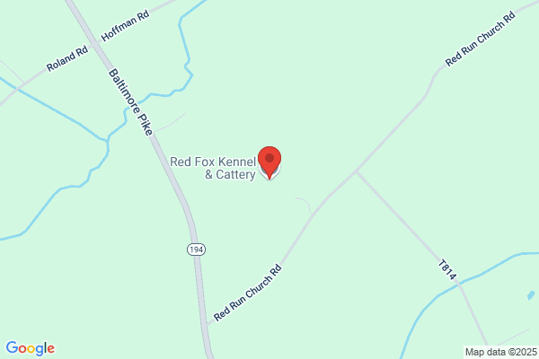 Red Fox Kennel & Cattery