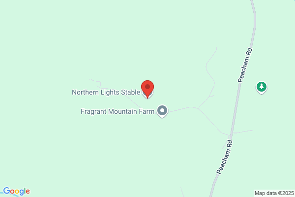 Northern Lights Stables Llc