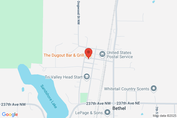 The Dugout Bar & Grill