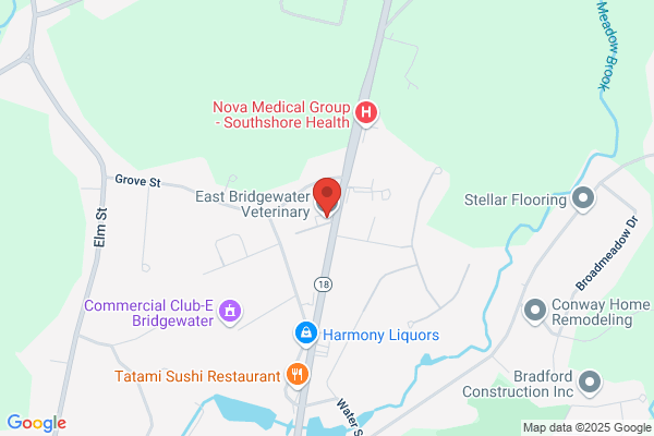 East Bridgewater Veterinary Clinic