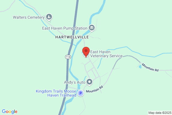 East Haven Veterinary Service