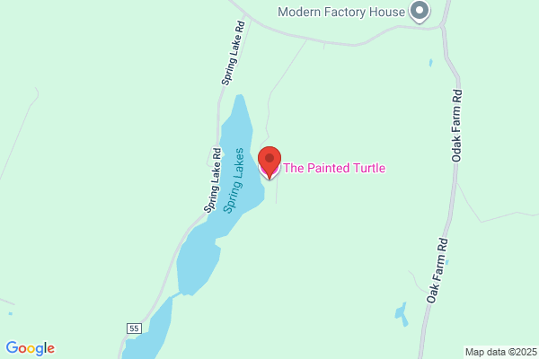 Painted Turtle