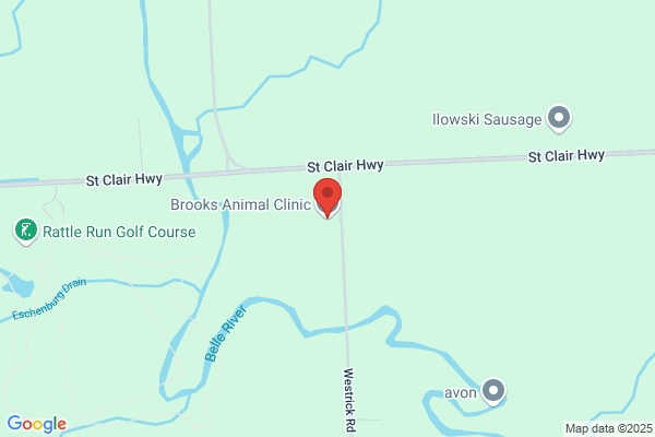 Brooks Animal Clinic