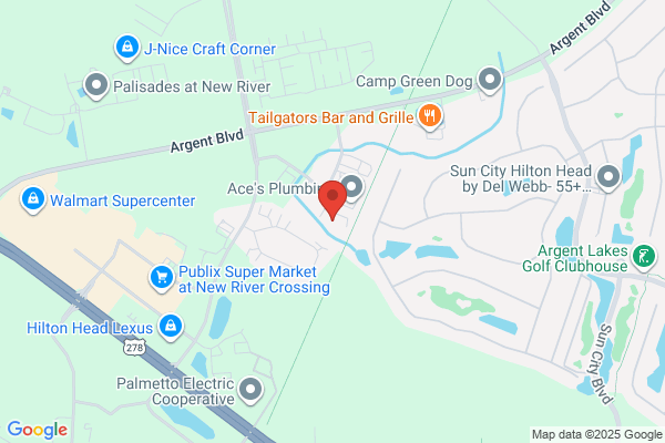 Palmetto Security Systems