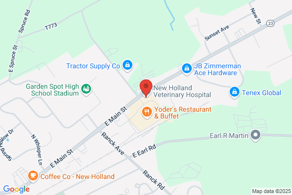 New Holland Veterinary Hospital, LLC