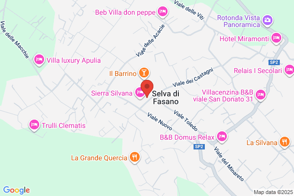 Il Fagiano Ristorante