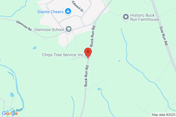 English Oak Tree Service