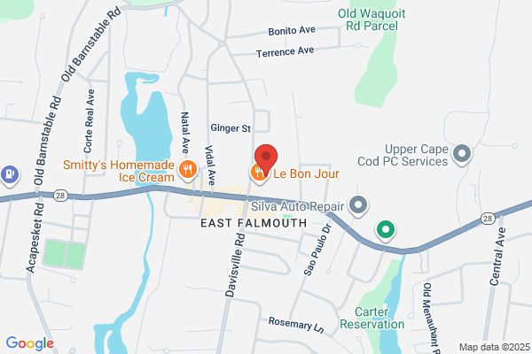 Falmouth Dog Grooming
