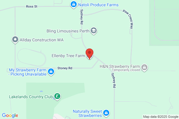 Allenby Tree Movers & Tree Farm