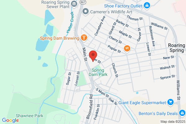 Roaring Spring Boro, Office