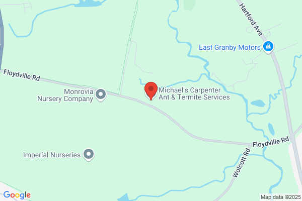 Michael's Carpenter Ant & Termite Services, LLC