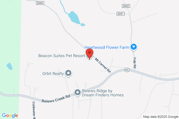 Beacon Ridge Pet Resort Llc