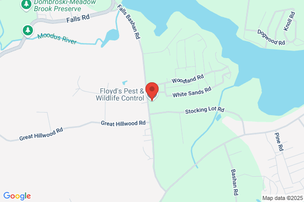 Connecticut Pest & Wildlife Control