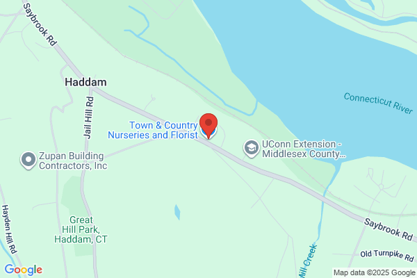 Connecticut Plantsman the Llc